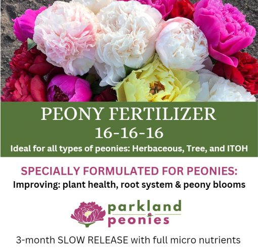 3 Month : Slow Release Peony Fertilizer