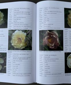 A Tyranny of Peonies - by Lois Girton The Life of A. P. Saunders