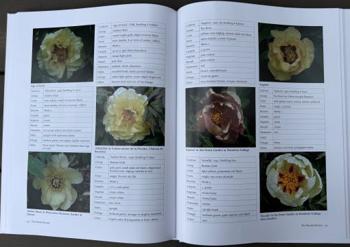 A Tyranny of Peonies - by Lois Girton The Life of A. P. Saunders