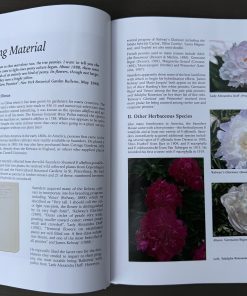 A Tyranny of Peonies - by Lois Girton The Life of A. P. Saunders