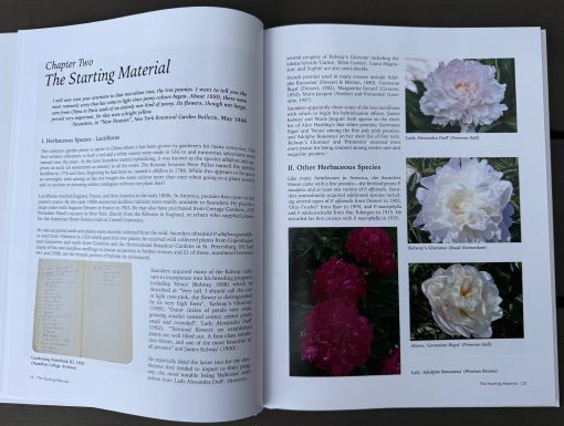 A Tyranny of Peonies - by Lois Girton The Life of A. P. Saunders