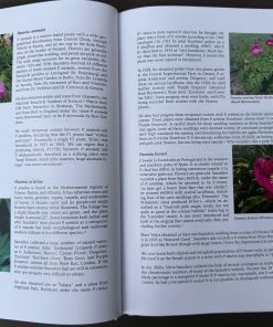 A Tyranny of Peonies - by Lois Girton The Life of A. P. Saunders