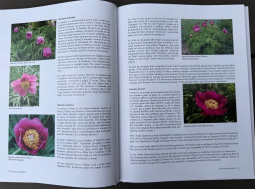 A Tyranny of Peonies - by Lois Girton The Life of A. P. Saunders