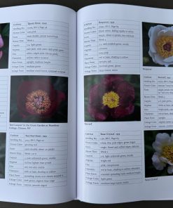A Tyranny of Peonies - by Lois Girton The Life of A. P. Saunders