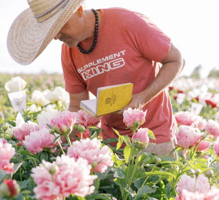Adam of Parkland Peonies evaluating Peonies